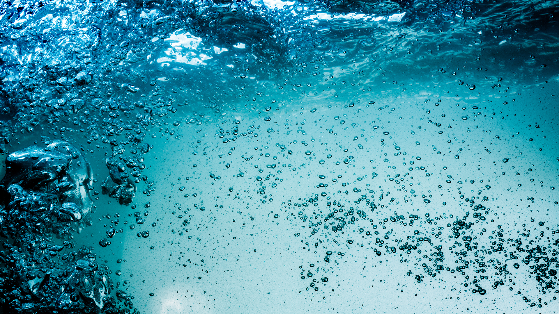 Does drinking water help you lose weight?