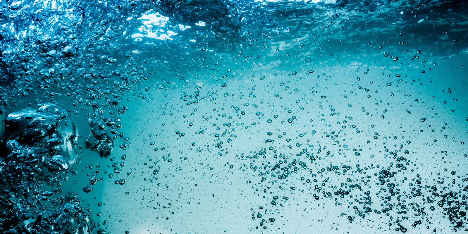 Does drinking water help you lose weight?